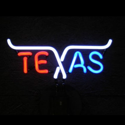 Texas Neon Sculpture